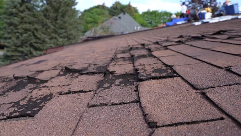 Best Rubber Roofing (EPDM, TPO)  in Mesilla, NM