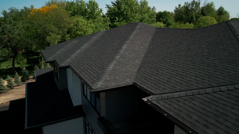 Professional Roofing Services in Mesilla, NM