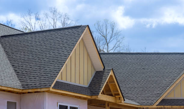 Best 4 Ply Roofing  in Mesilla, NM