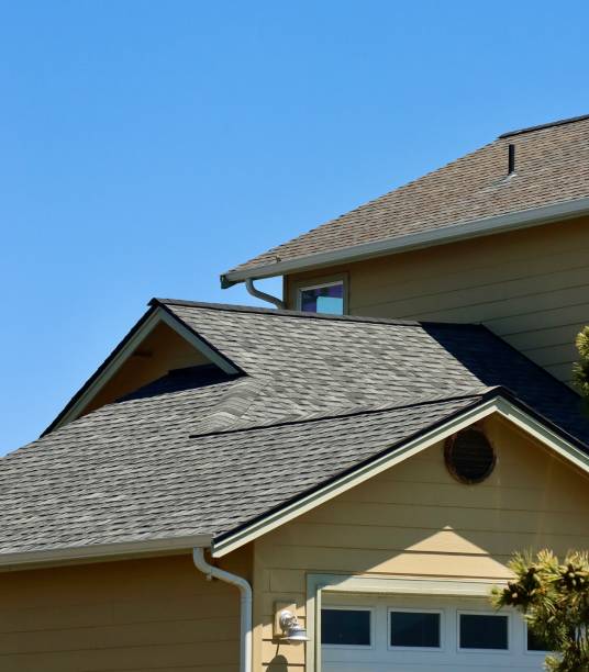 Best Metal Roofing Installation  in Mesilla, NM