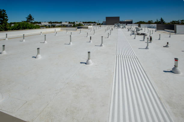 Roof Coating Services in Mesilla, NM